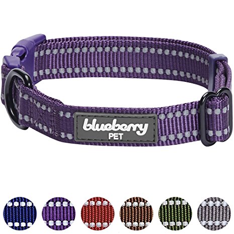 Blueberry Pet 3M Reflective Adjustable Classic Solid Color Dog Collar, 6 Colors, Matching Leash Available Separately