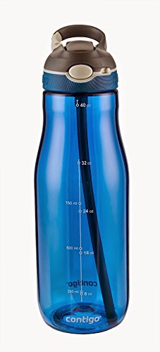 Contigo Auto Spout Ashland Water Bottle, 32 oz, Monaco