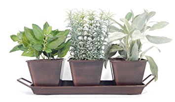 Kitchen Herb Garden (Chocolate) - 3 Metal Containers w Tray, 5 Herb Packets, Soil, Labels & Directions