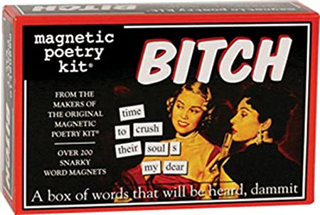 Magnetic Poetry - Bitch Kit - Words for Refrigerator - Write Poems and Letters on the Fridge - Made in the USA