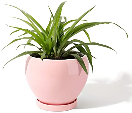 POTEY 052403 Ceramic Plant Pot Planter - 6.7 Inches Pink Planter for Indoor Plants Flower Succulent with Drainage Hole & Saucer