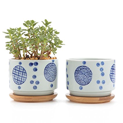 T4U 3 Inch Ceramic Japanese Style Serial No.2 succulent Plant Pot/Cactus Plant Pot Flower Pot/Container/Planter White Package 1 Pack of 2