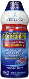 Wellesse Joint Movement Liquid Glucosamine With Chondroitin 338 Ounces