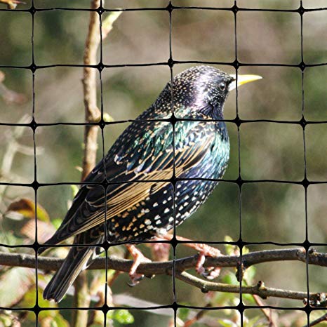 Bird-X Standard Bird Netting Ideal for Gardens and Lightweight Applications, 100' by 14'