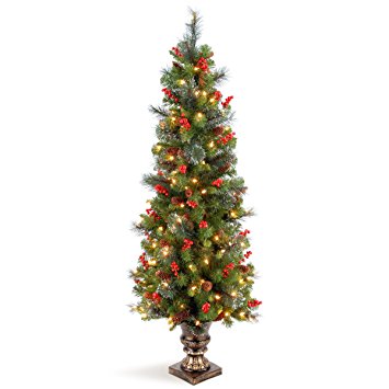 National Tree 5 Foot Crestwood Spruce Entrance Tree with Silver Bristles, Cones, Red Berries and 150 Clear Lights in Decorative Urn (CW7-306-50)