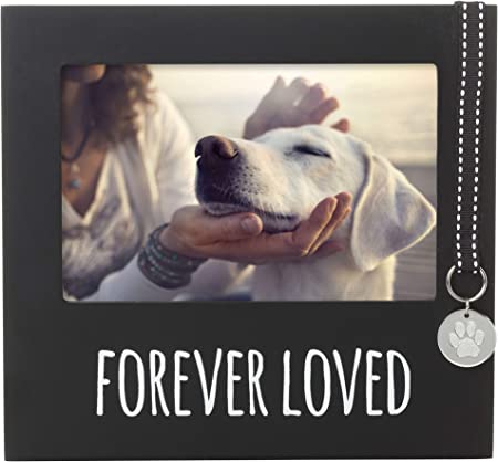 Pearhead Forever Loved Pet Memorial Collar Tag Keepsake Picture Frame, Pet Loss Gift, Black