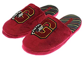 Harry Potter Hogwarts House Adult Gryffindor Slippers Shoes Fuzzy Soft