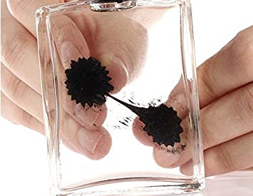 C&H Solutions Amazing Ferrofluid Magnetic Display in a Bottle , Ferrofluid Magnetic Liquid Display Desk Toy, Magnetism Science Kits