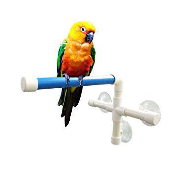 Qulable Shower Bird Perch, Portable Suction Cup Parrot Toy Fold Away Window Stand Toys for Small Medium Birds