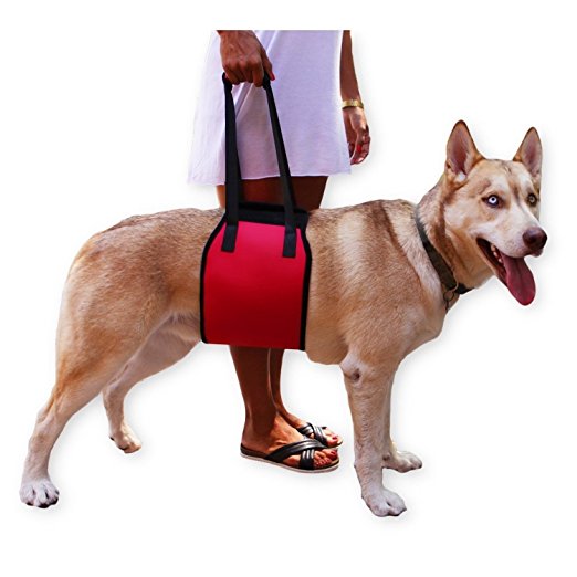 Lalawow Dog Support & Rehabilitation Harness for Canine Aid Help Older & Young Puppies for Weak Hind Legs or Joints Surgery