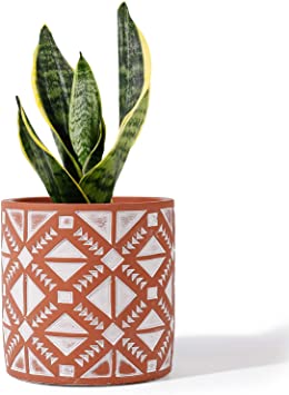 POTEY Cement Planter Flower Pot - 4.8 Inches Vintage Indoor Plants Containers Unglazed Medium Bonsai Concrete with Drain Hole - Terracotta, Geometry Embossment