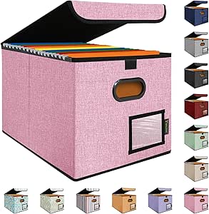 BALEINE File Organizer Box with Lid, Collapsible File Folder Organizer with Plastic Slide, Hanging File Folder Box for Office Document Storage (1 Pack, Pink)