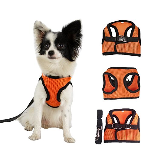LUXMO® Adjustable Soft Mesh Fabric Pet Dog Puppy Harness Girth Harness Vest with Free Lead Leash (Orange   black) SIZE:S
