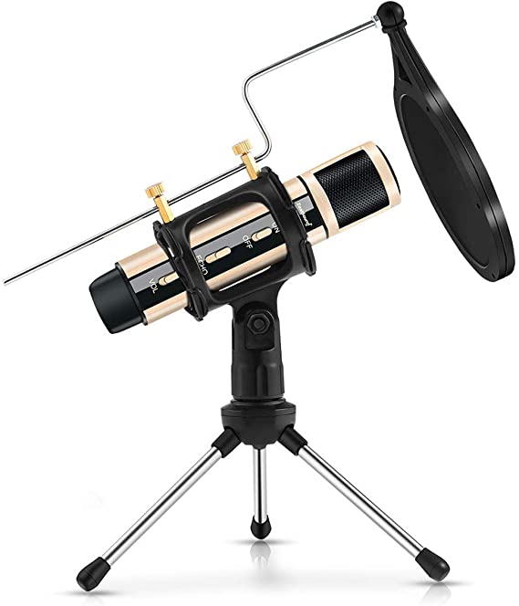 ZealSound Condenser Recording Microphone, Tripod Stand Built-in Sound Card Echo For Studio Broadcast Live Stream ASMR Game Voice Cover Karaoke Zoom Smule Anchor Memo Garageband Tiktok & YouTube (Gold)