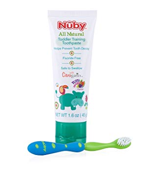 Nuby All Natural Toddler Toothpaste with Citroganix with Toothbrush, Blue/Green