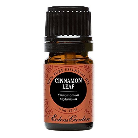 Cinnamon Leaf 100% Pure Therapeutic Grade Essential Oil by Edens Garden- 5 ml