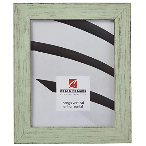 Craig Frames Jasper Picture Frame, 11 x 17 Inch, Country Mint Julep