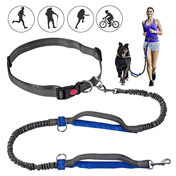 Petsvv Retractable Hands Free Dog Leash & Dual-Handle Bungees Leash for Large and Medium Dogs, Reflective Stitching Leash for Running, Walking, Hiking