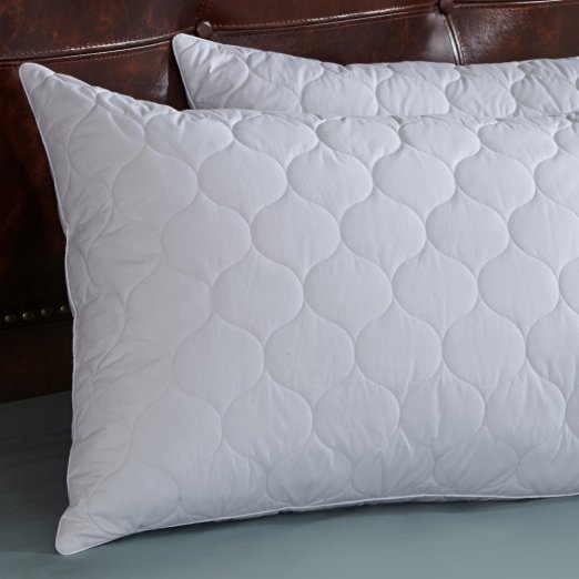Set of 2, Quilted White Goose Feather and Down Pillow, Quatrefoil Print, King Size