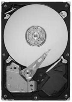 Seagate Barracuda 7200.12 750 GB 7200RPM SATA 6Gb/s with NCQ 32MB Cache 3.5 Inch Internal Bare Drive ST3750525AS