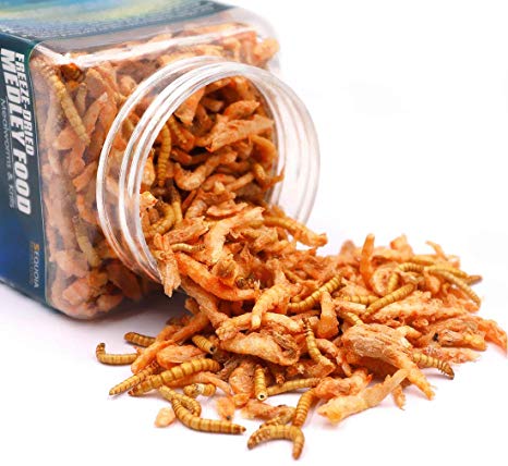 Sequoia 3OZ Aquatic Turtle Medley Food - Freeze Dried Shrimp & Mealworms