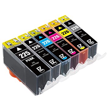 E-Z Ink (TM) Compatible Ink Cartridge Replacement for Canon PGI-225 CLI-226 (1 Large Black, 1 Cyan, 1 Magenta, 1 Yellow, 1 Small Black, 1 Gray) 6 Pack