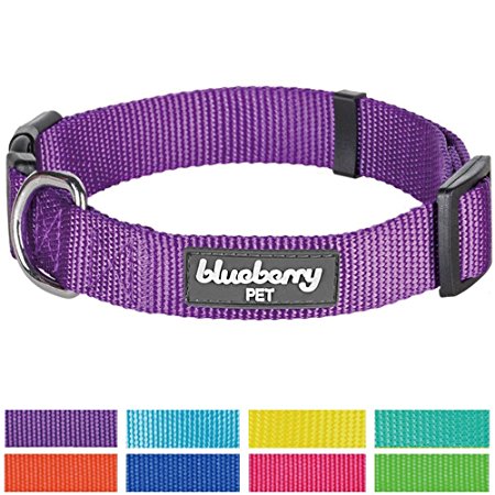 Blueberry Pet Classic Solid Color Nylon Dog Collar, Matching Leash & Harness Available Separately