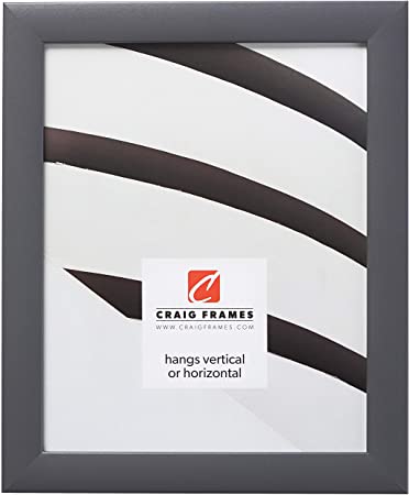 Craig Frames 23247635 Picture Frame, 11 x 17 Inch, Grey