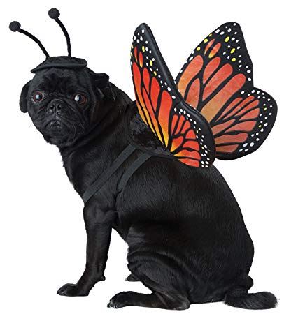 California Costumes Monarch Butterfly Pet Costume-