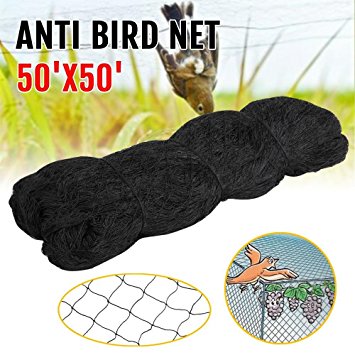 Yaheetech 50' X 50' Net Netting for Bird Poultry Aviary Game Pens Black