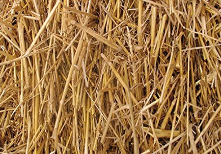 4 Pounds 100 Percent Natural Wheat Straw (4 lbs.)