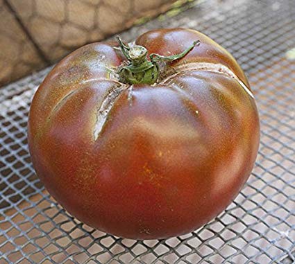 Chocolate Cherokee Heirloom Tomato Premium Seed Packet a Chefs Favorite