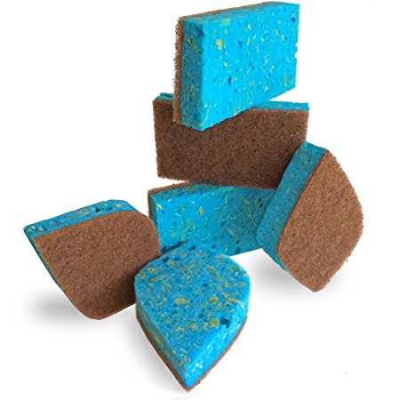 Pura Naturals Ever-Fresh Cleaning Sponges Inhibit Bacteria. Stay Fresh mildew-free Scent! Eco Kitchen/Household/Dish Sponges w/Walnut Scrubbers. 40x more durable. (6-pack | 48 Hour Infused Soap Blast)
