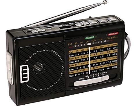 QFX R-39 Am/FM/Sw 10 Band Radio with Flashlight and USB/TF Player