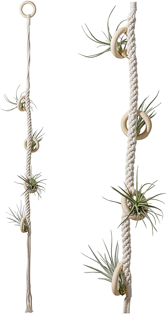 POTEY 602101 Hanging Air Plant Holders - Air Plant Hanger for 4 Pcs Air Plants Hanger Tillandsia Handmade Cotton Rope Airplant Rack for Home Decor 1-Pack 40'',Ivory