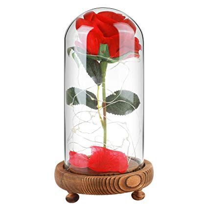 Childom Rose Gift for Her Beauty and The Beast Rose Red Enchanted Rose Last Forever in Glass Dome on Wooden Base Best Gift for Valentines Day Wedding Anniversary Home Decor Holiday Party