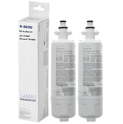 Replacement for LG LT700P Refrigerator Water Filter ADQ36006101 ADQ36006102 46-9690 (2 Pack)