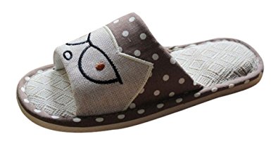 Bronze Times(TM) Unisex Premium Couples Cartoon Skid-proof Flax House Slipper