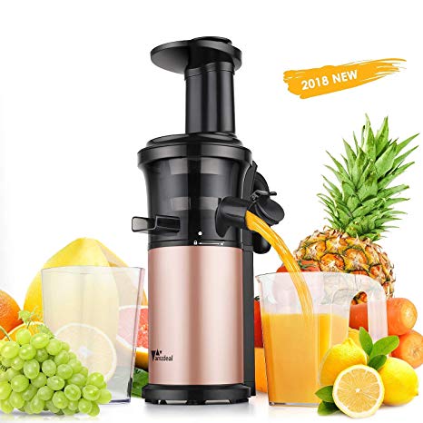 Juicer Amzdeal Slow Juicer - Masticating Juicer Machine Cold Press Juicer BPA Free for High Nutrient Fruits and Vegetables Juice Easy to Clean 200w