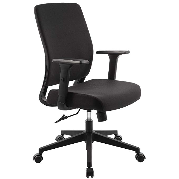 TOPSKY Mid-Back Ergonomic Fabric Office Chair with Adjustable 3D Arm and Lumbar Support (Black Fabric)