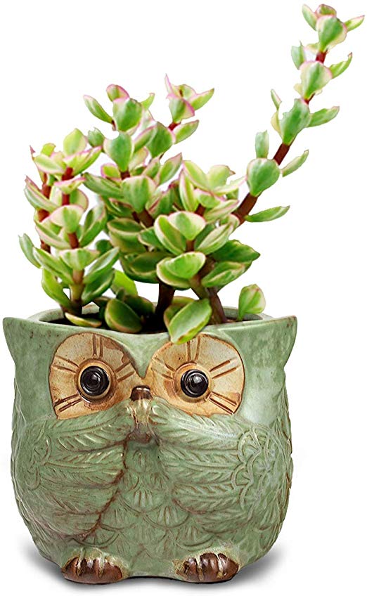 Dahlia 4" Speak No Evil Owl Handmade Ceramic Succulent Planter/Plant Pot/Flower Pot, Green