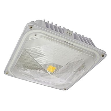 LEDwholesalers 35-Watt Outdoor LED Canopy Ceiling Light Fixture 100-240/277VAC, UL-Listed, Warm White 3000K, 3921WW