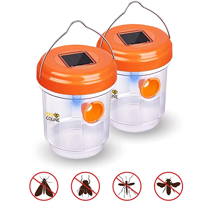 BEE COLINE Outdoor Wasp Trap 2 Packs - Solar Powered Wasp Killer - Effective and Reusable Insect Killer for Trapping Wasps and Insects