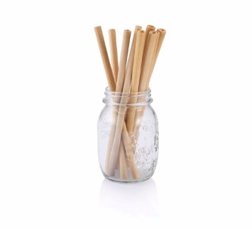 Zone - 365 Bamboo drinking straws,reusable alternative to plastic, glass and stainless steel straws. Eco friendly gift option for the home kitchen, or holidays. Beautiful set of 10 (20cm)