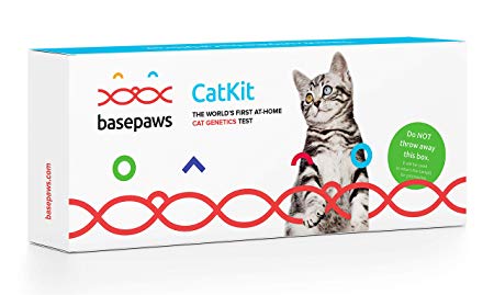 BASEPAWS Cat DNA Test Kit | AS SEEN ON Shark Tank | Breed & Genetic Traits Discovery | Wildcat Index | Health & Wellness Assessments | at-Home Cheek Swab | #GetToKnowYourCatBetter