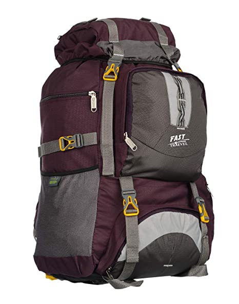 Traveler Waterproof 90 Ltrs Travelling Rucksack Backpack(Purple)