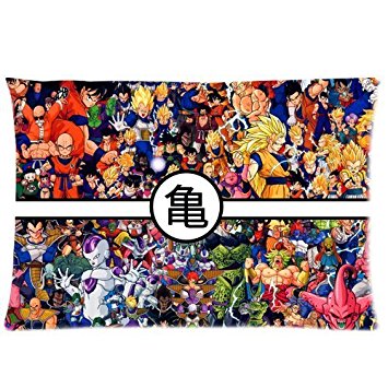 Artsy Artistic Dragon Ball Z Custom Zippered Pillowcase Pillow Cases Cover 20x30 (one side) Standard Size Super Cartoons Anime Series