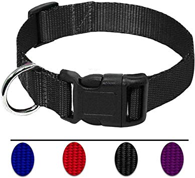 AEDILYS Adjustable Nylon Dog Collar Classic Solid Colors for Small Sized Dogs Neck