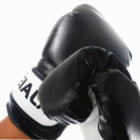 EIALA Pro Style Training Boxing Gloves