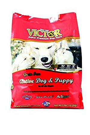 Victor Dog Food Grain-Free Active Dog and Puppy Beef Meal and Sweet Potato